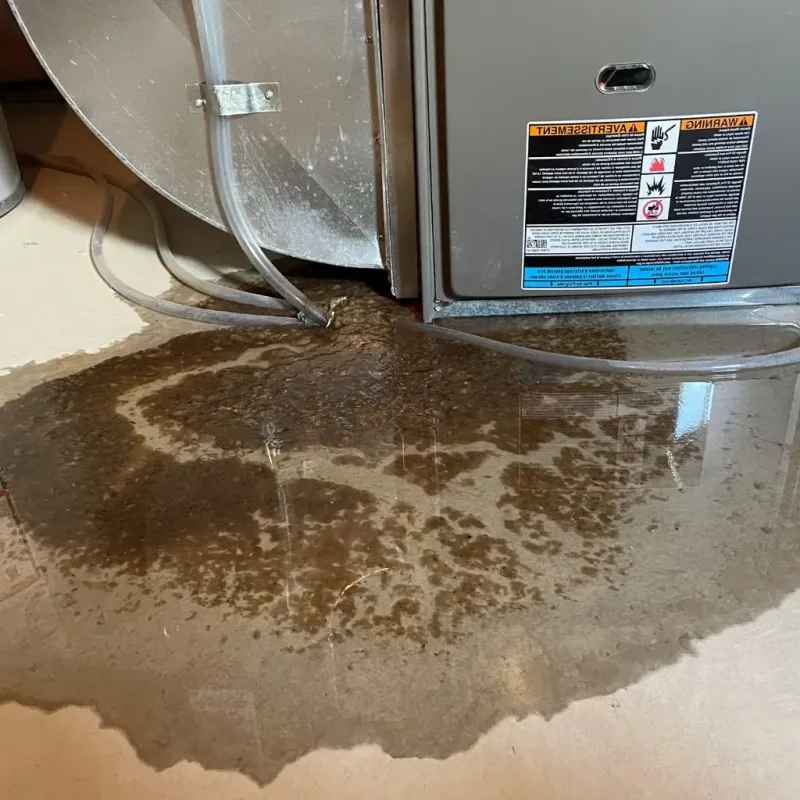 Pipe Burst and Leak Restoration in Fairfield Harbour, NC